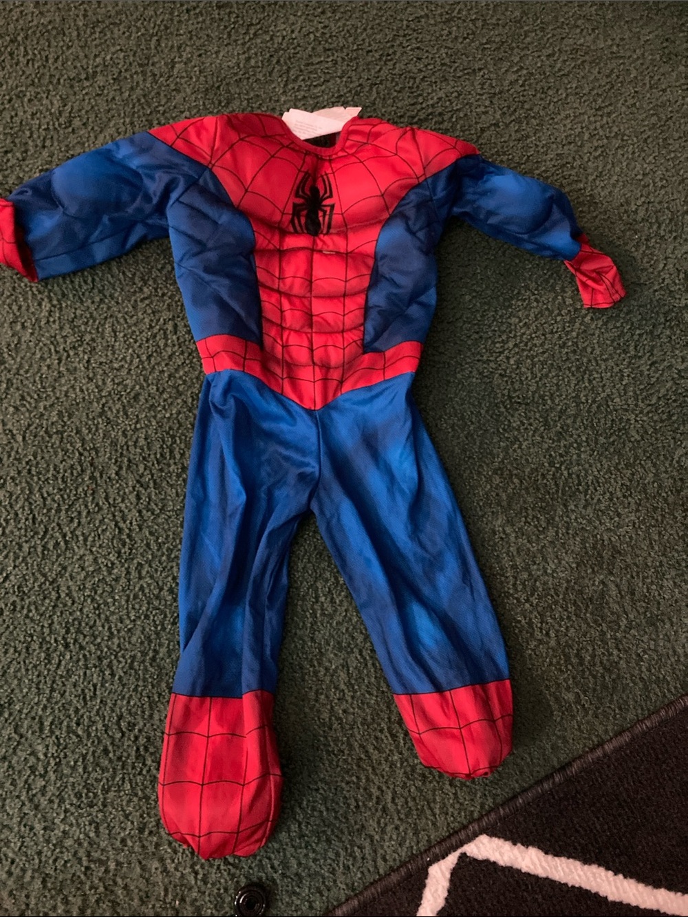 Blue & Red Spider-Themed Kids Costume